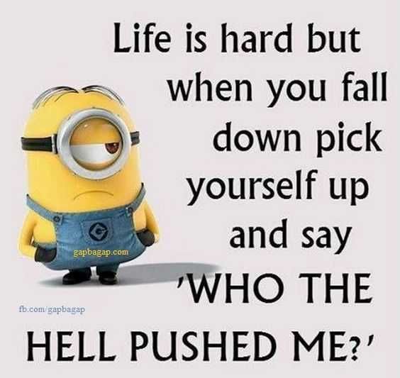 Minion Fell
