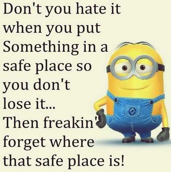Minion Safeplace