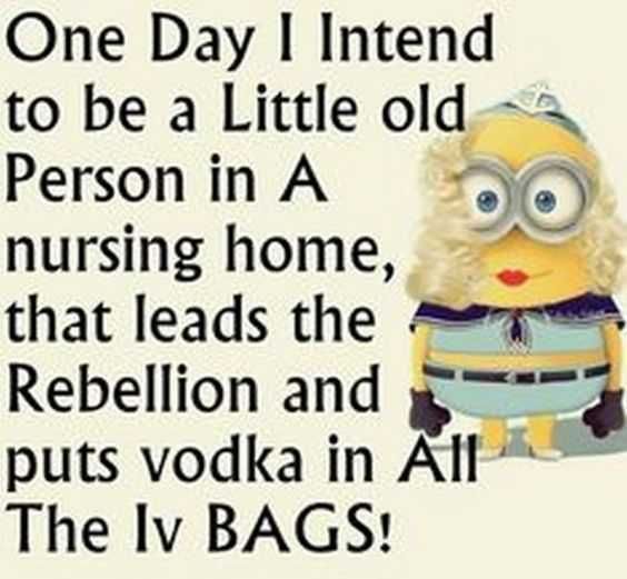 Minion Vodka