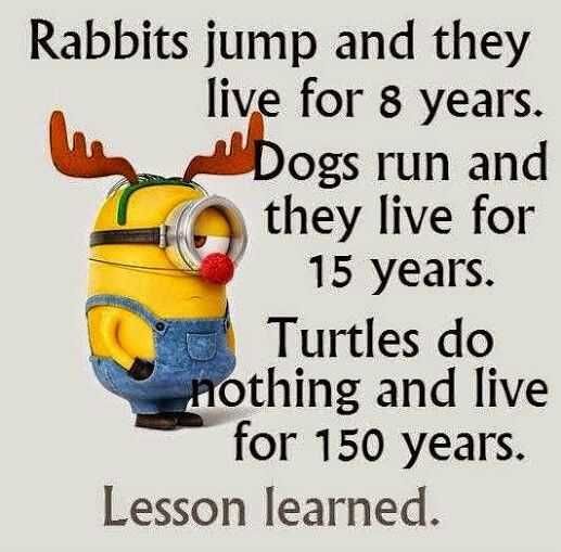 Minions Turtle