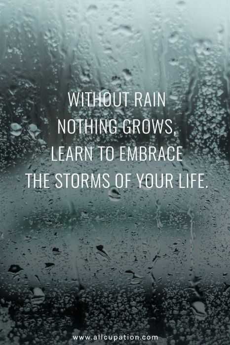 Quote Raingrows