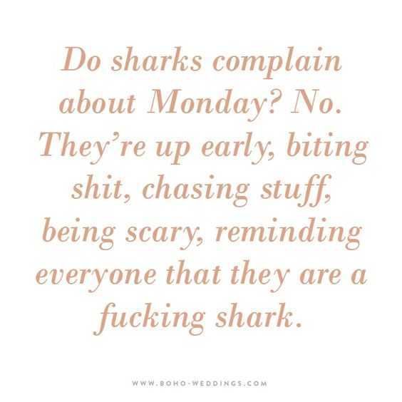 Quote Sharks
