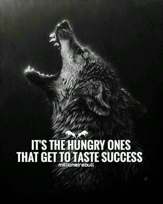 Sass Hungry