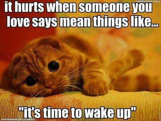 Sleep Ithurts