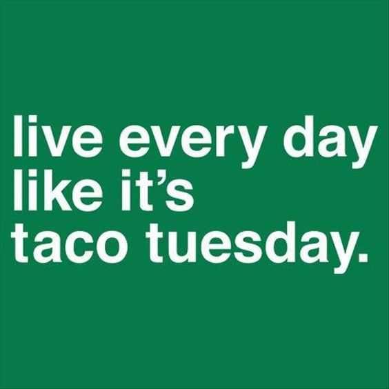 Taco Everyday