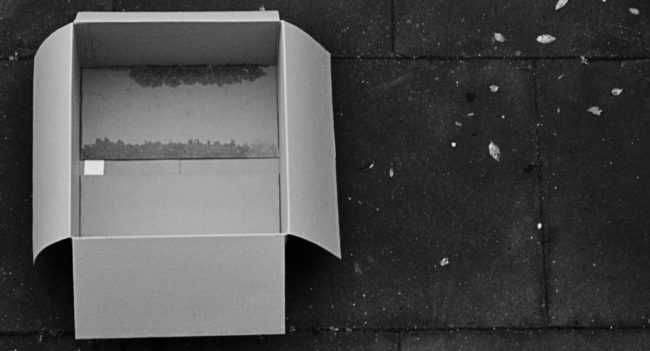 Box 1024X553 E1505943685181