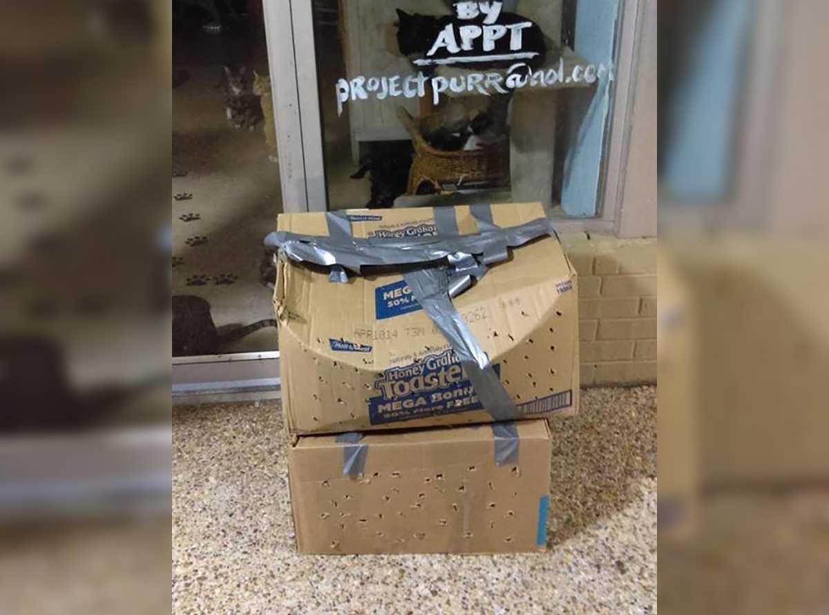 Boxes Lead
