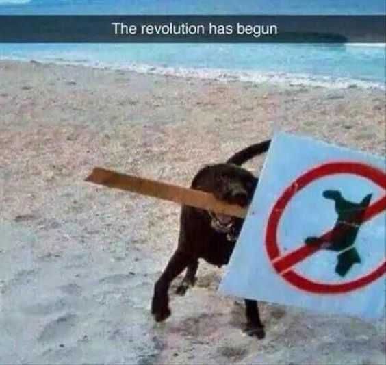 Animal Dogsign