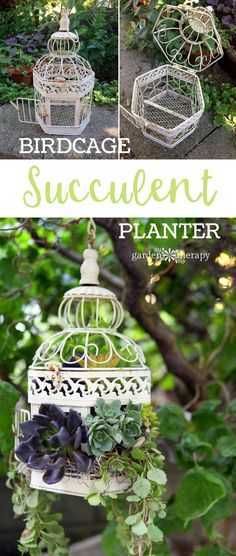 Diy Birdcageplanter
