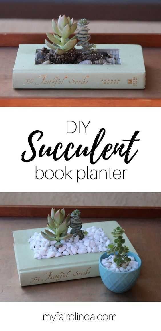 Diy Bookplanter