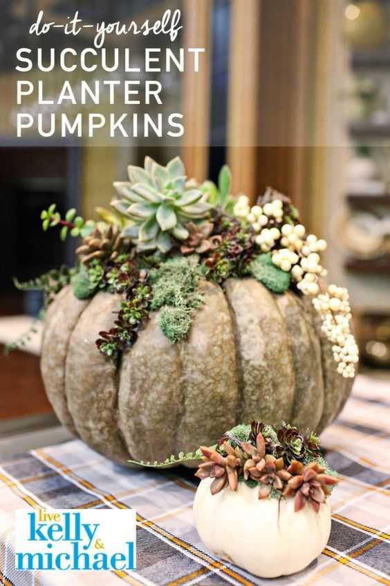 Diy Planterpumpkin