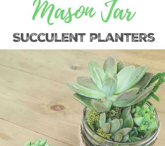 Diy Succulentmasonjars