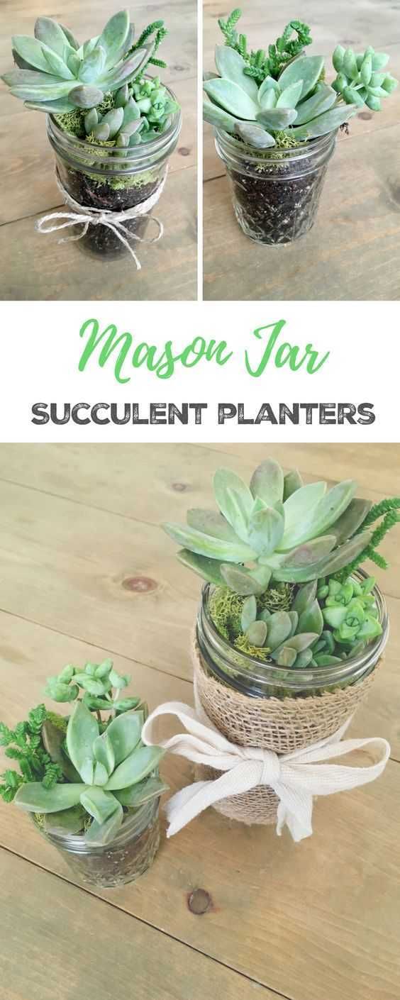 Diy Succulentmasonjars