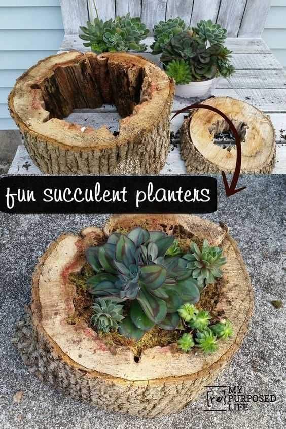 Diy Treeplanters