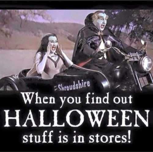 Fall Memes Funny