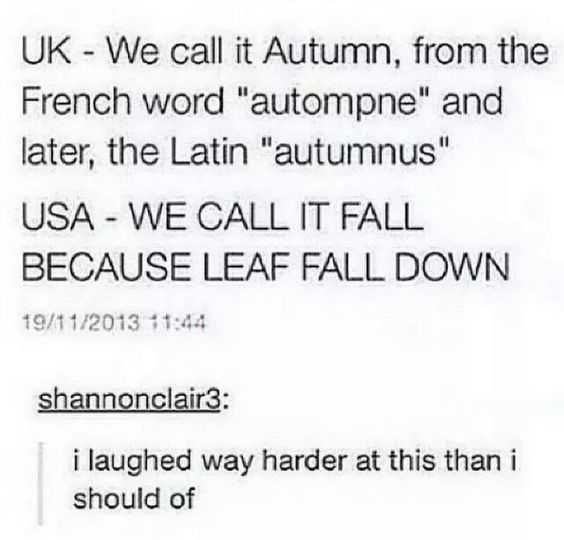 Fall Funny Memes