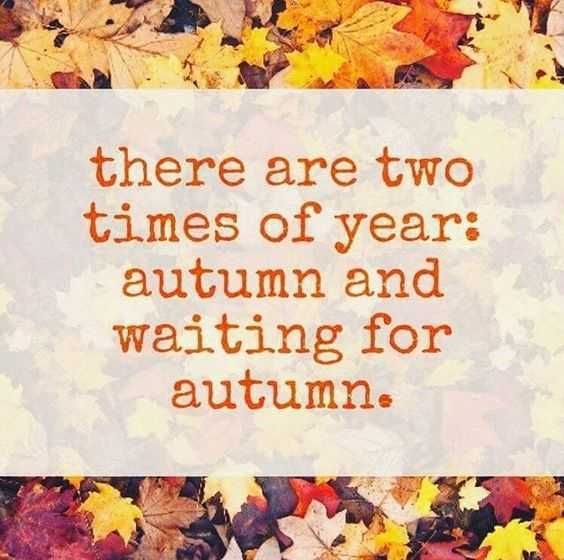 Autumn Meme Funny