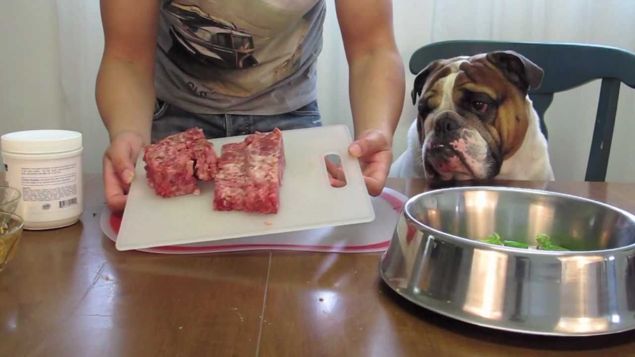Food Animaldogmeat