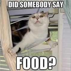 Food Didsomeonesay