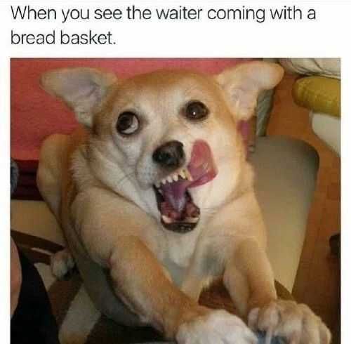 Food Hilariousbread