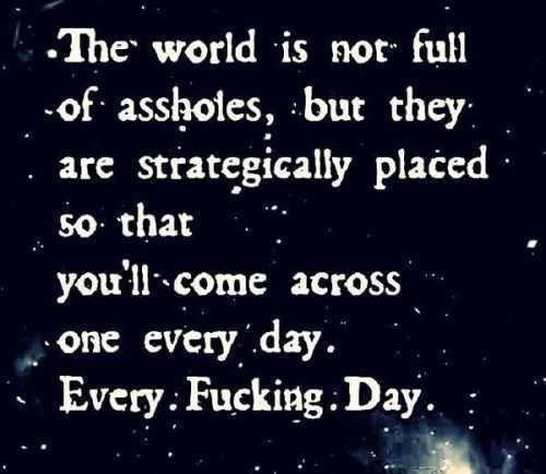 Funny Aholesday