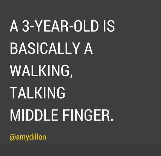 Funnyquote Parentingmiddlefinger