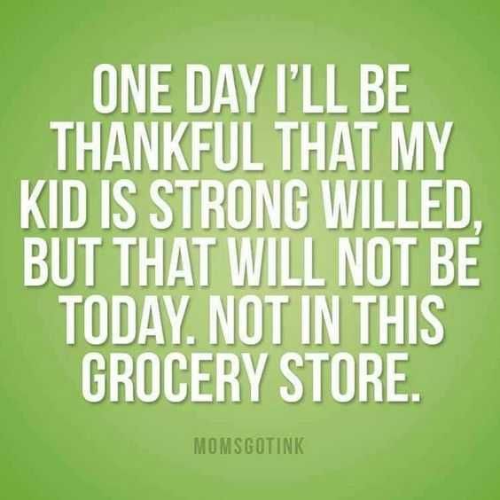 Funnyquote Parentingstrongwilled