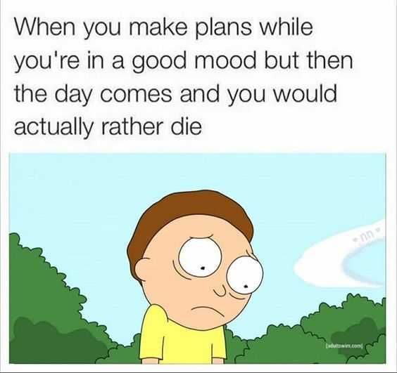 Meme Rickplans