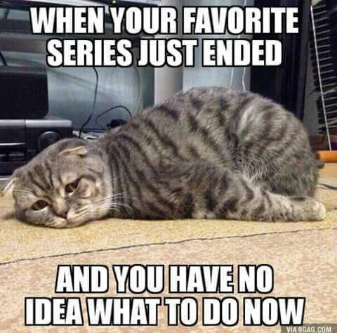 Memes Seriesended