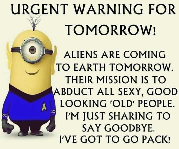 Funny Minion Memes 5 Tomorrow