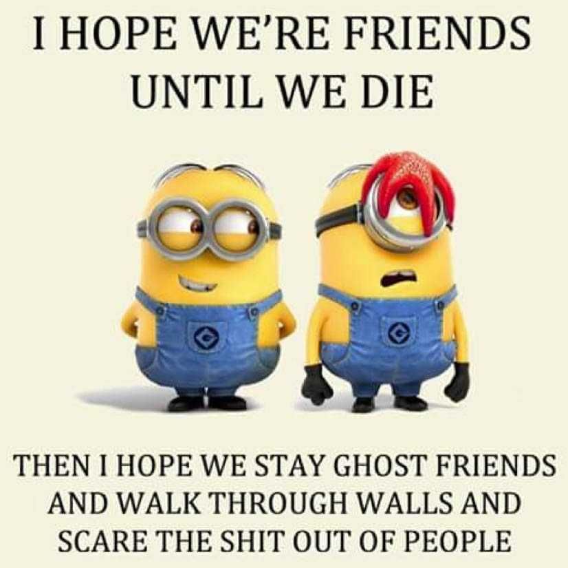 Funny Minion Memes 1 Friends
