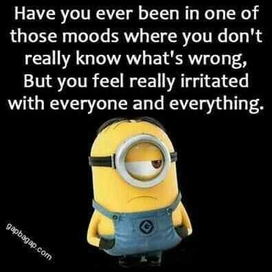 24 New Funny Minion Quotes To Love | The Funny Beaver