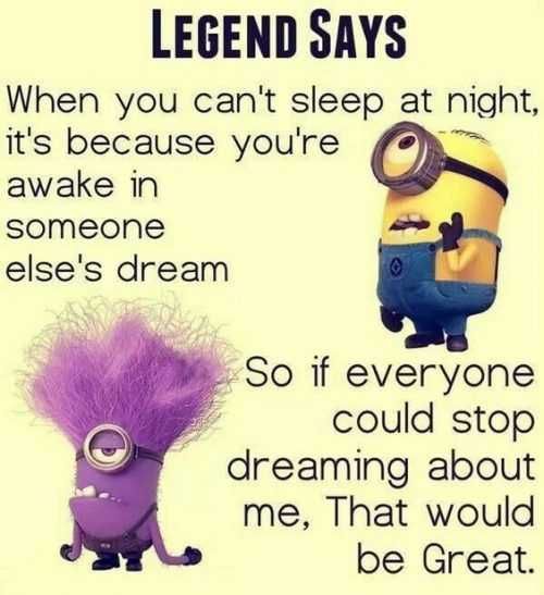 Minion Legendsleep