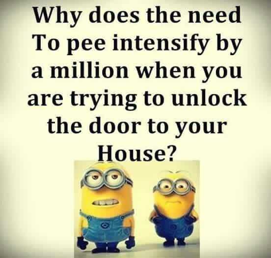 Minion Peehouse