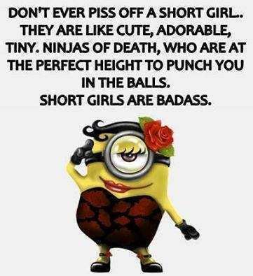 Funny Minion Pic 6 Short Girls