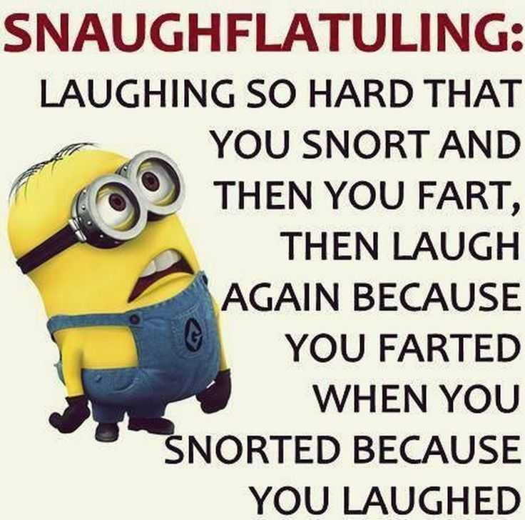 Funny Minion Pics 5 Snaughflatuling