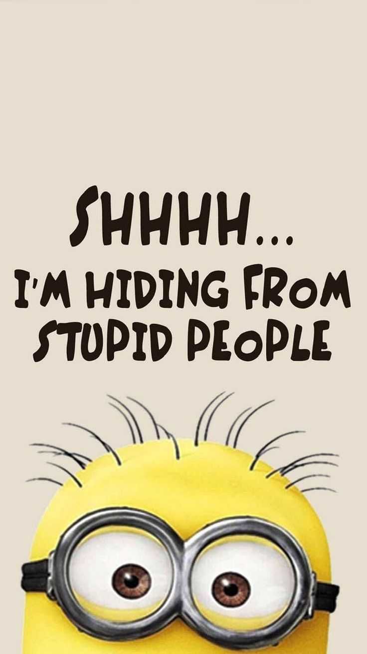 Funny Minion Pics 3 Stupid People