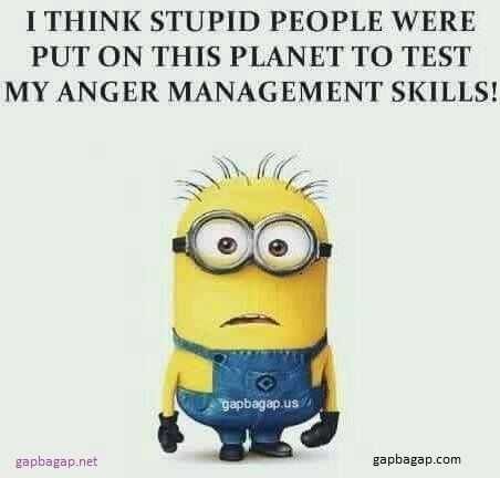 Minion Stupidpeopletest