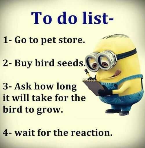 Minion Todobirdlist