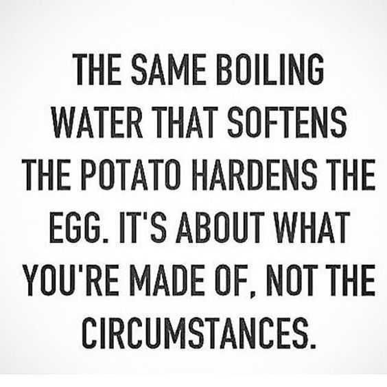 Quote Boilingwater