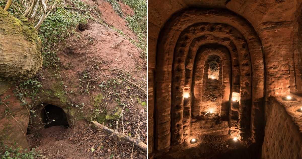 Rabbit Hole