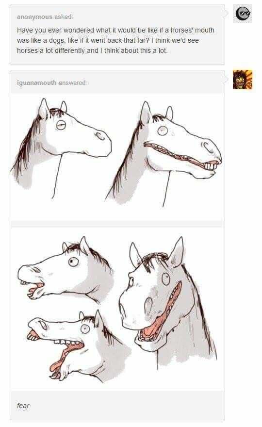 Tumblr Fearhorses