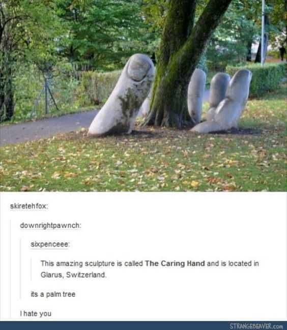 Tumblr Palmtree