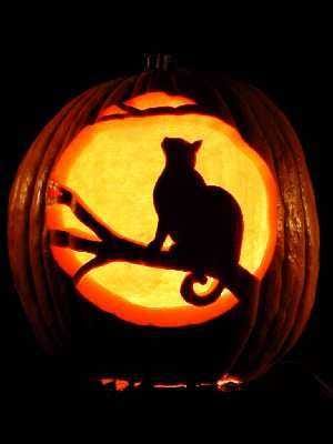 Carve Cat