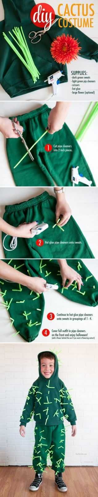 Diy Cactus