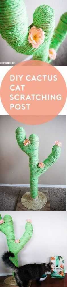Diy Catcactus