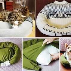 Diy Catsweaterbed