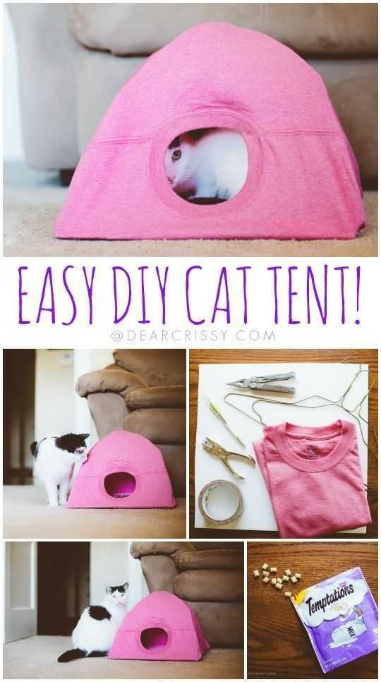 Diy Cattent