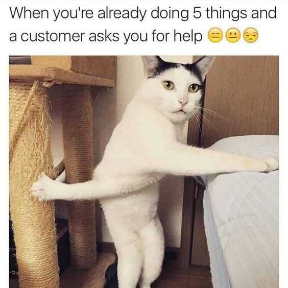 Funny Doing5Things