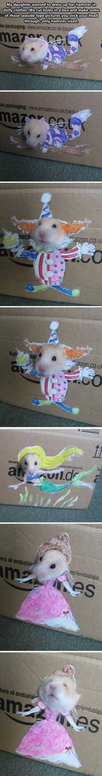 Funny Headhamster